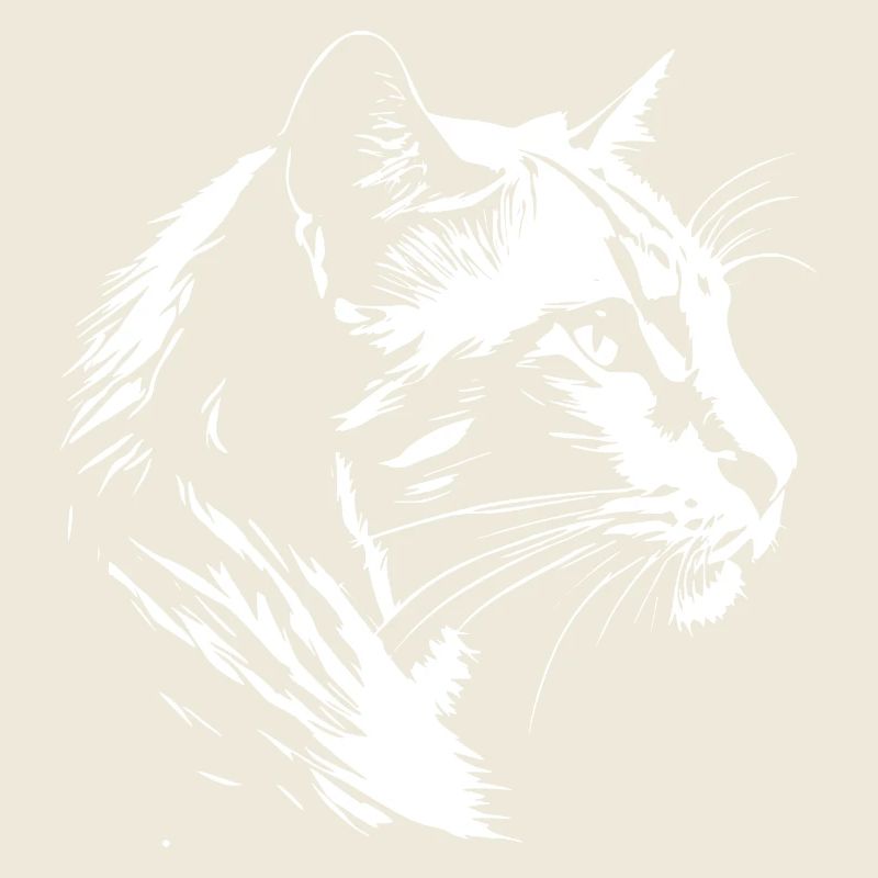 Chat 5