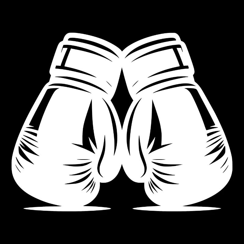 Gants de boxe Deux pièces d’accessoires d’arts martiaux