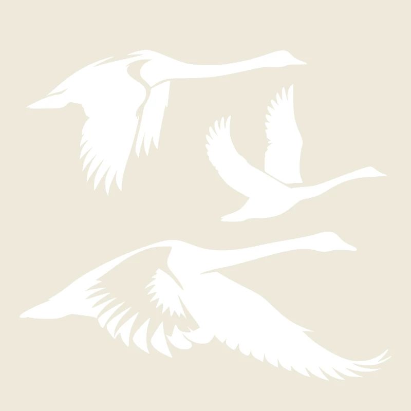 Flying whooper swans group