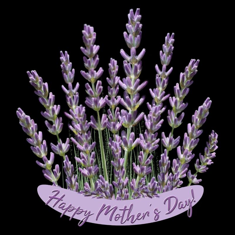 Lavendel Herz Muttertag Motiv beste Mama