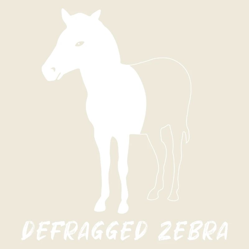 Defragged Zebra Admin Geek Programmer Gift