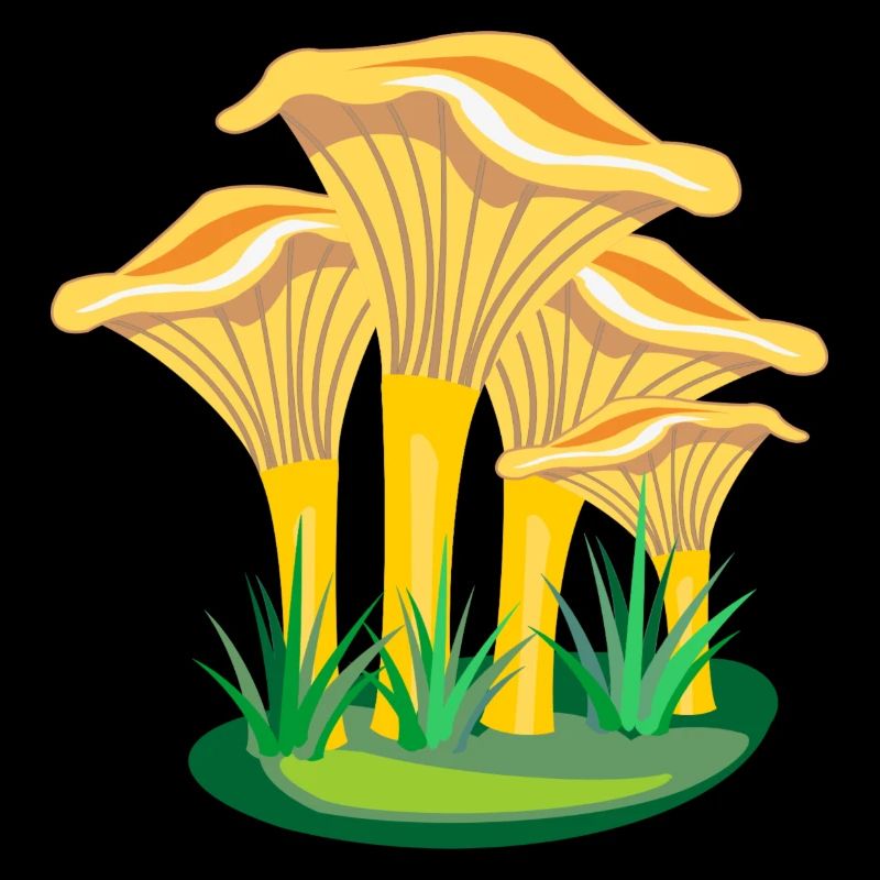 Mushroom mushrooms