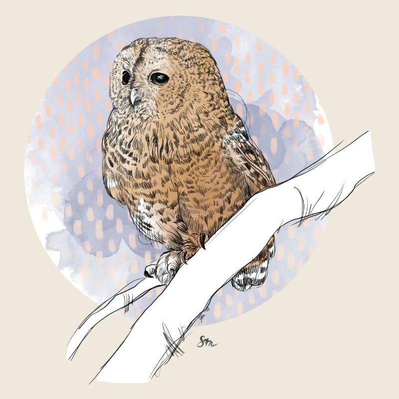 Little owl on pattern in pastel colors