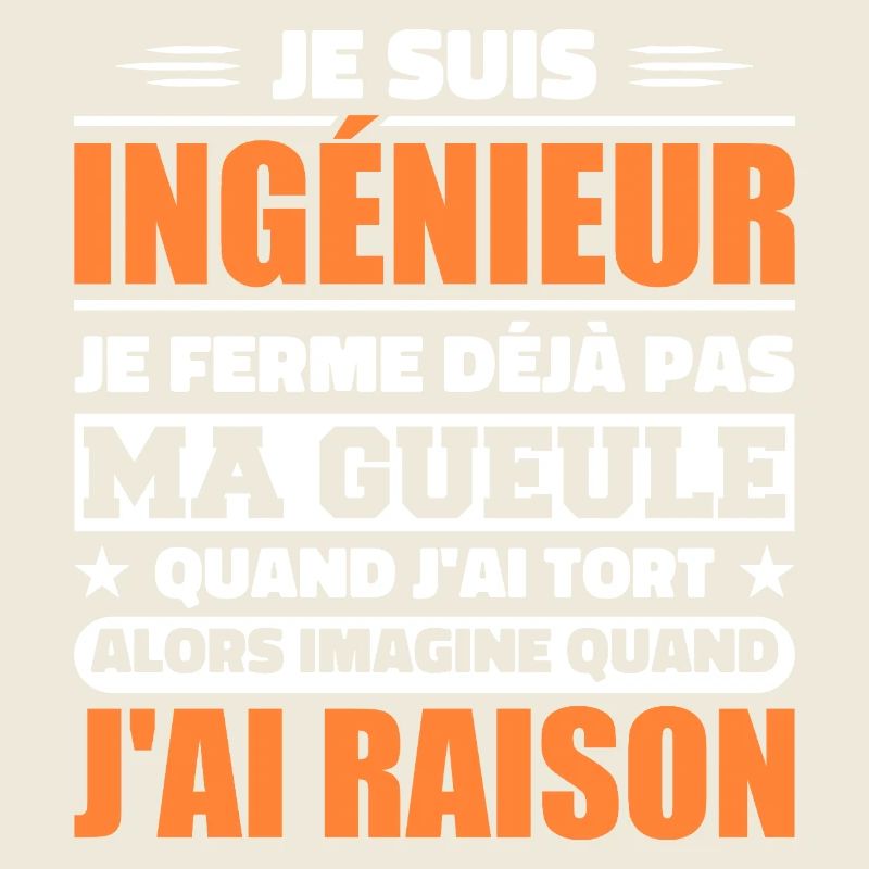 Engineer Humor Gift Student Engineer