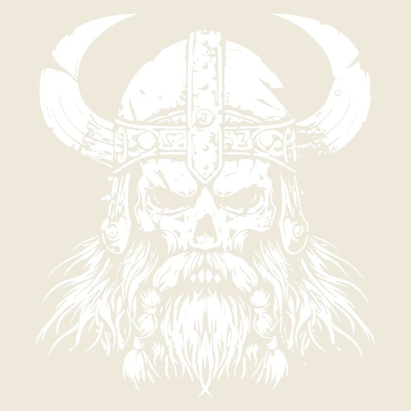wikinger skull