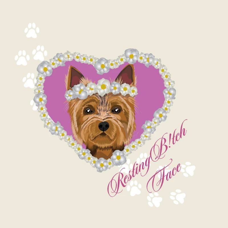 Resting B!tch Face Yorksire Terrier