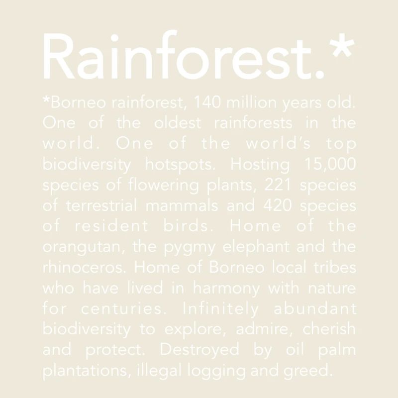 Rainforest borneo