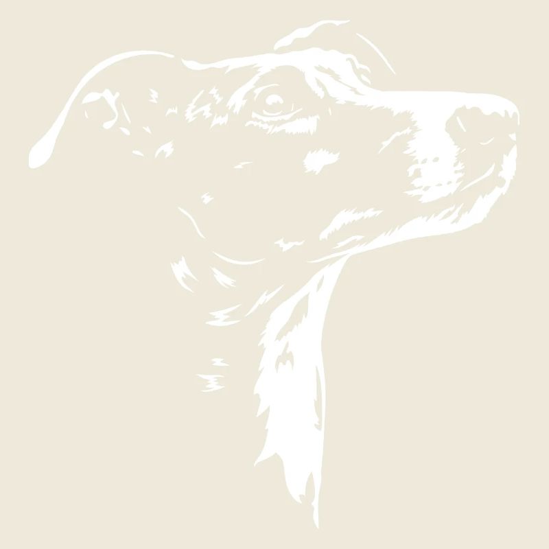 Galgo Español, silhouette Galga Lévriers Wilsigns