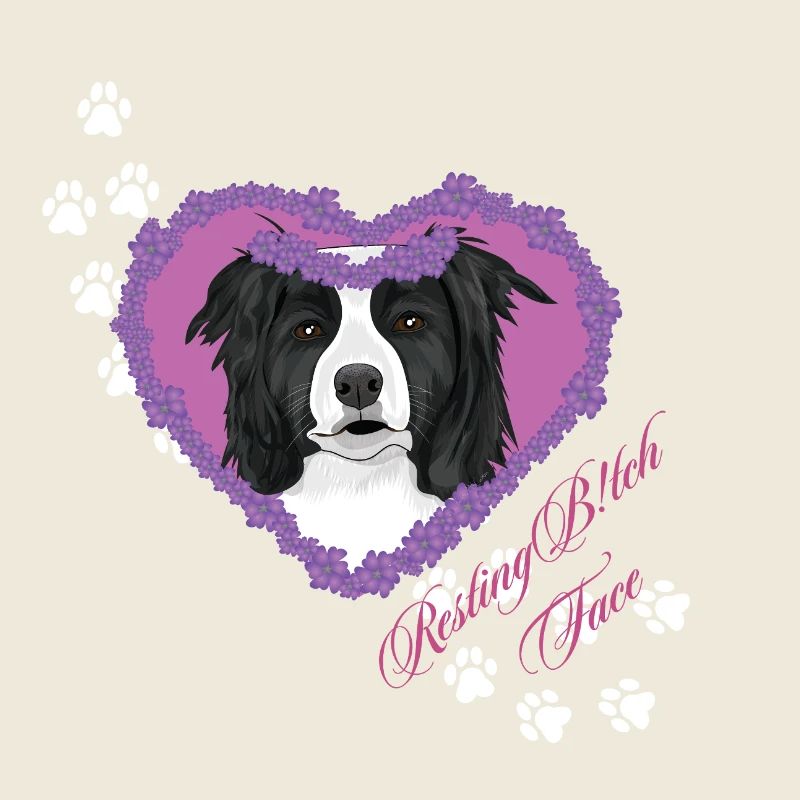 Resting B!tch Face Border Collie