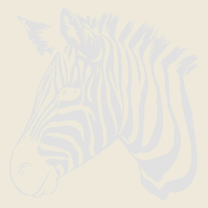 zebra light