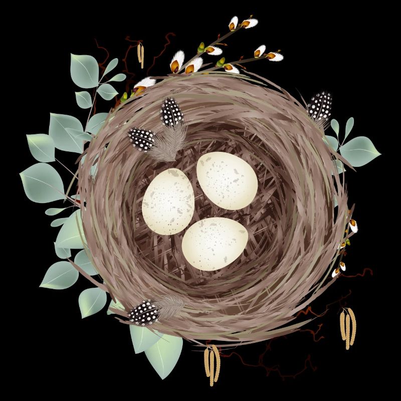 Bird's nest or Easter nest with three eggs and feathers