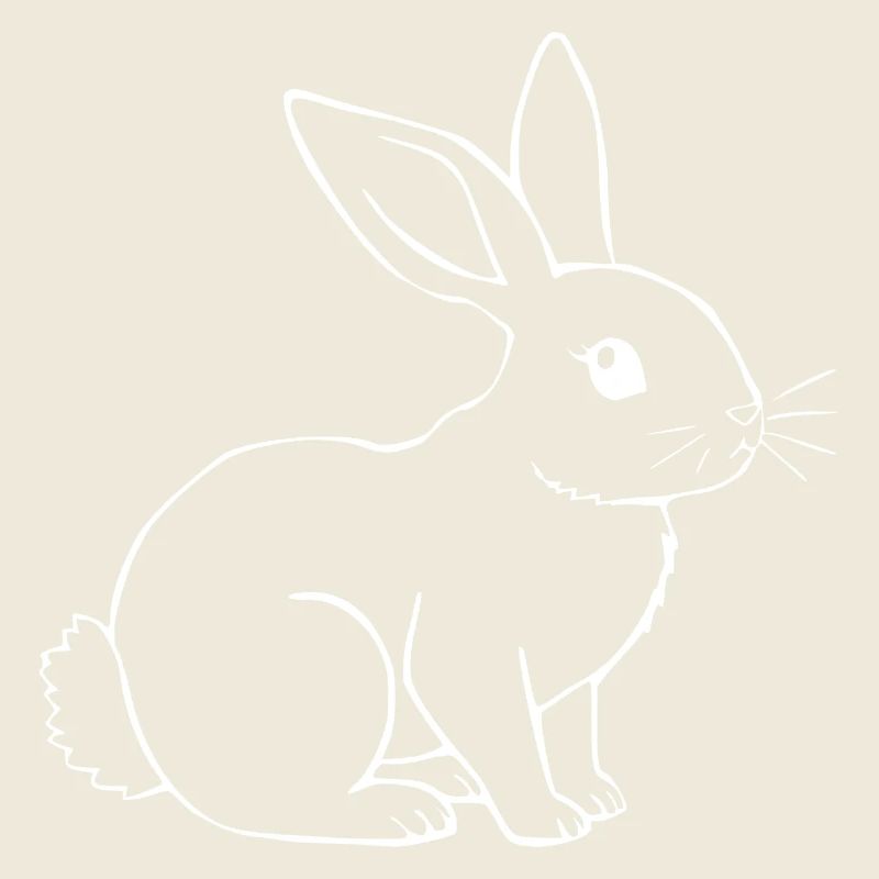 Rabbit Bunny Bunny Dwarf Rabbit Gift