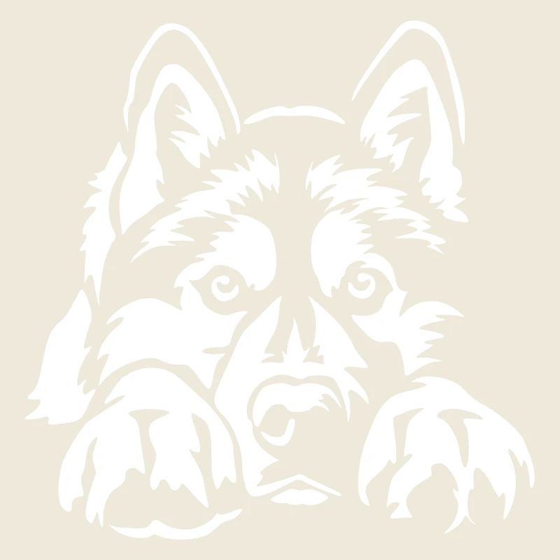 Siberian Husky « Édition Noire »