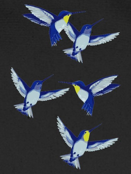 kolibri