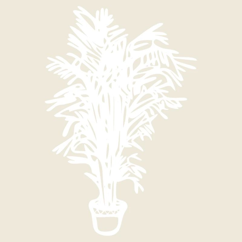 Topfpflanze, Geschenk, Geschenkidee