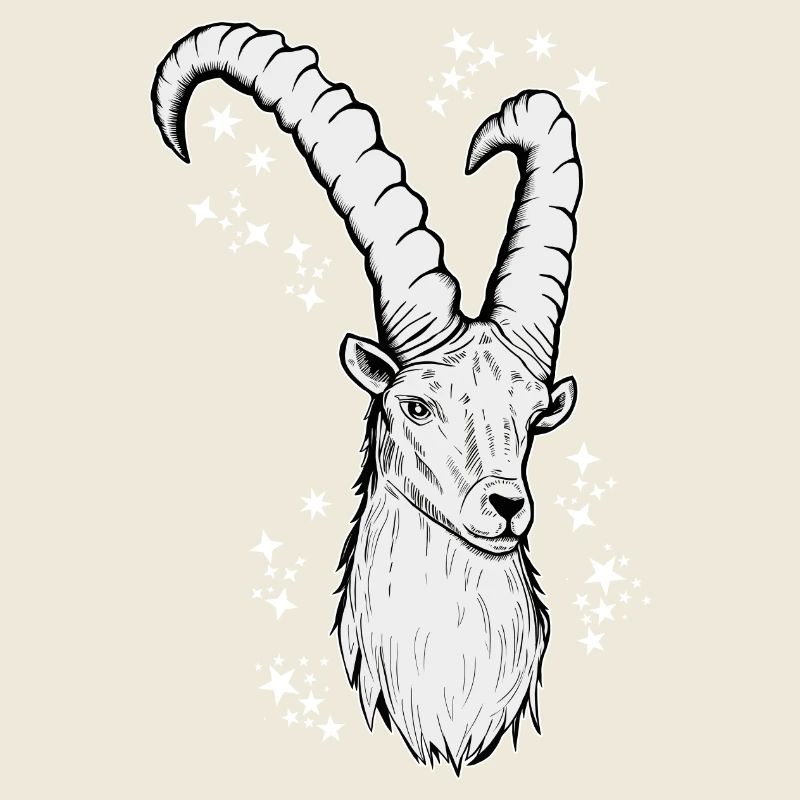 Steinbock Sternzeichen Astrologie