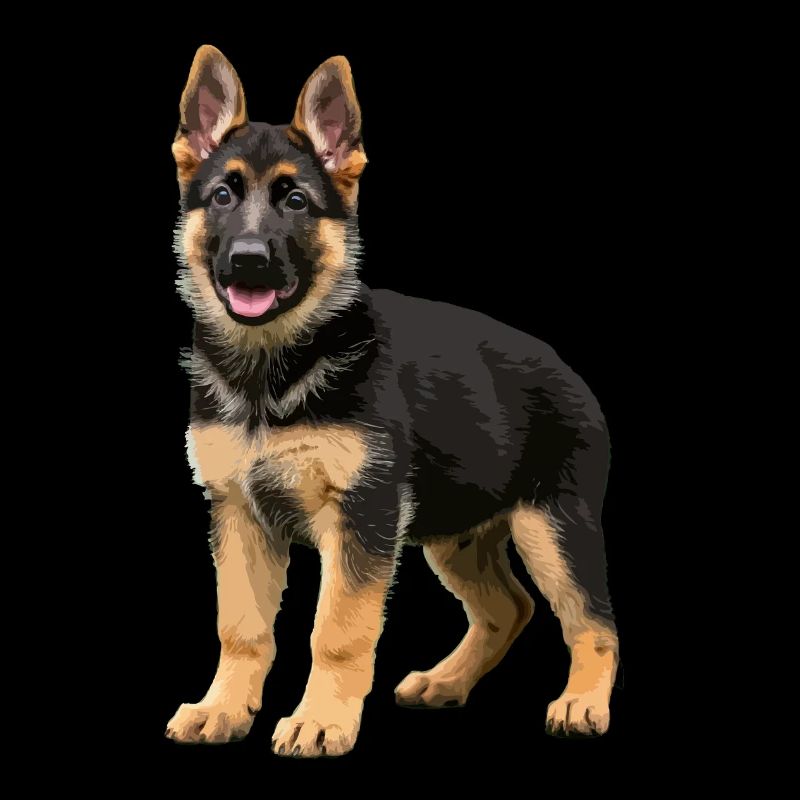 Deutscher Schäferhund Welpe echt