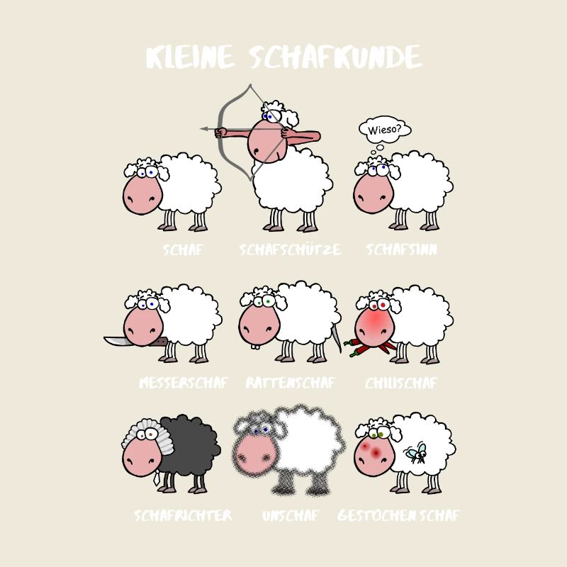 A little sheep knowledge