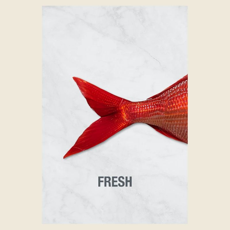 Fresh Fish Minimal Design Modern