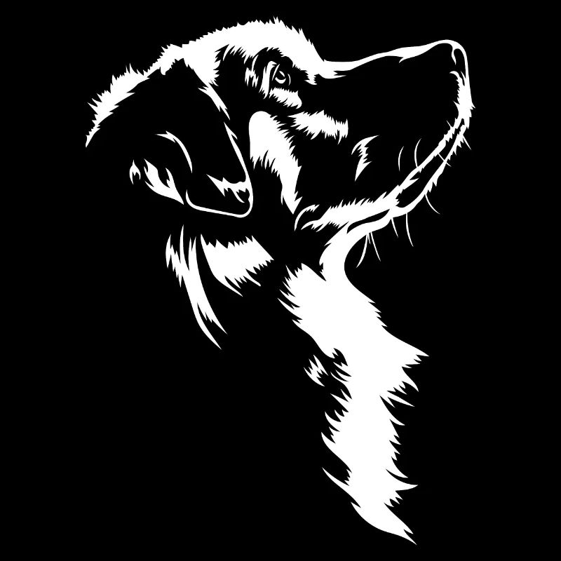 Bouvier des Pyrénées Chiens Grands Pyrénées Wilsigns