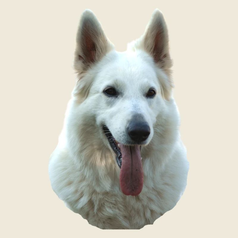 white Lady Portrait