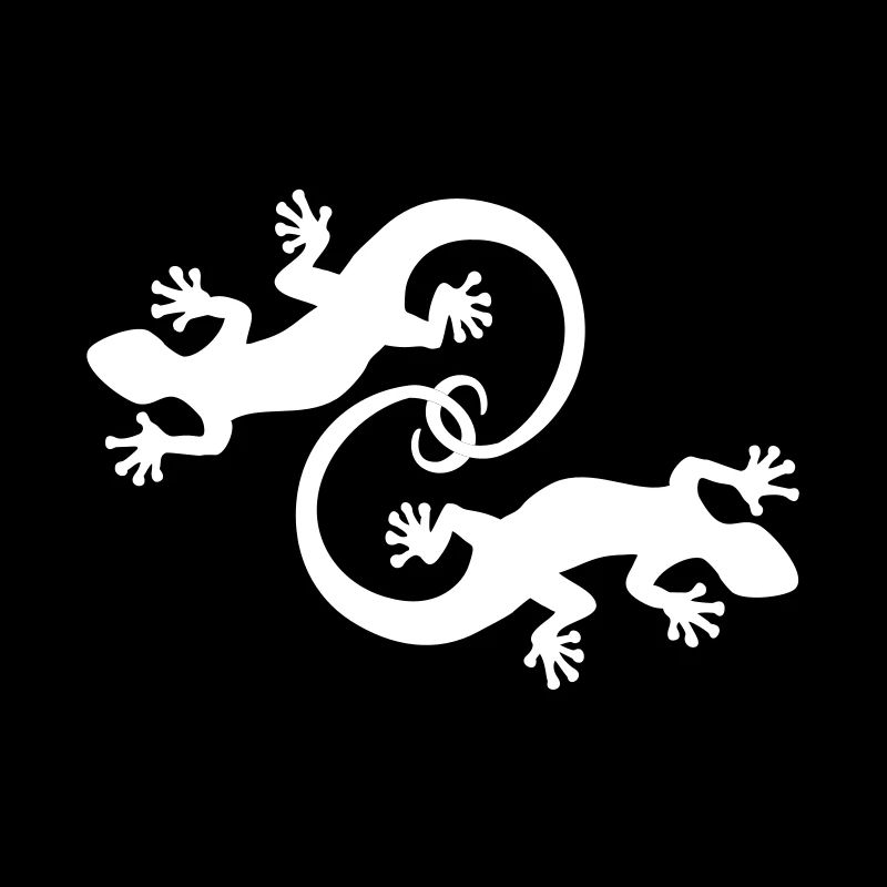 BALI - GECKO JUMEAUX