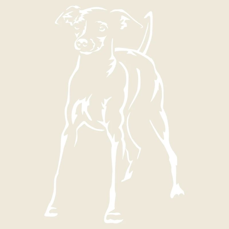 Dwarf Pinscher "Black Edition"