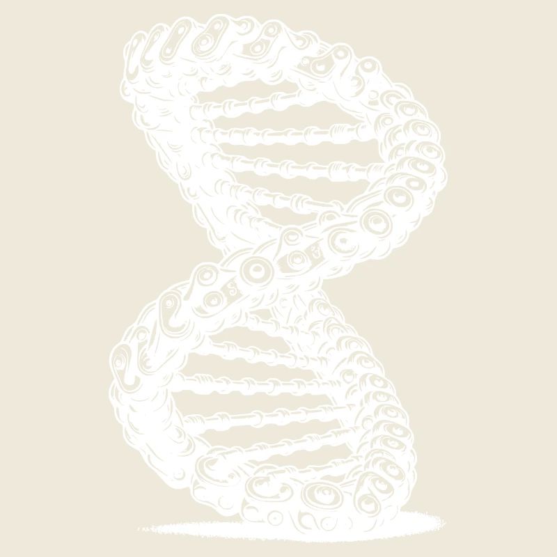 Möbius Loop Curved Chains DNA
