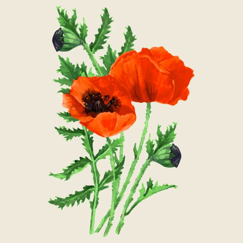 Fleur