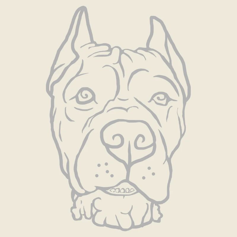Cane Corso Kopf