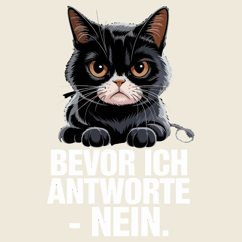  Bevor Ich Antworte Nein Lustige Grumpy Katze
