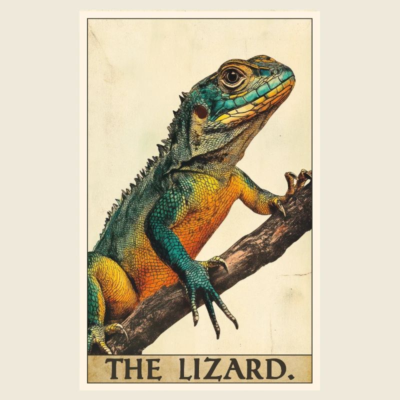 Lizards Lizard