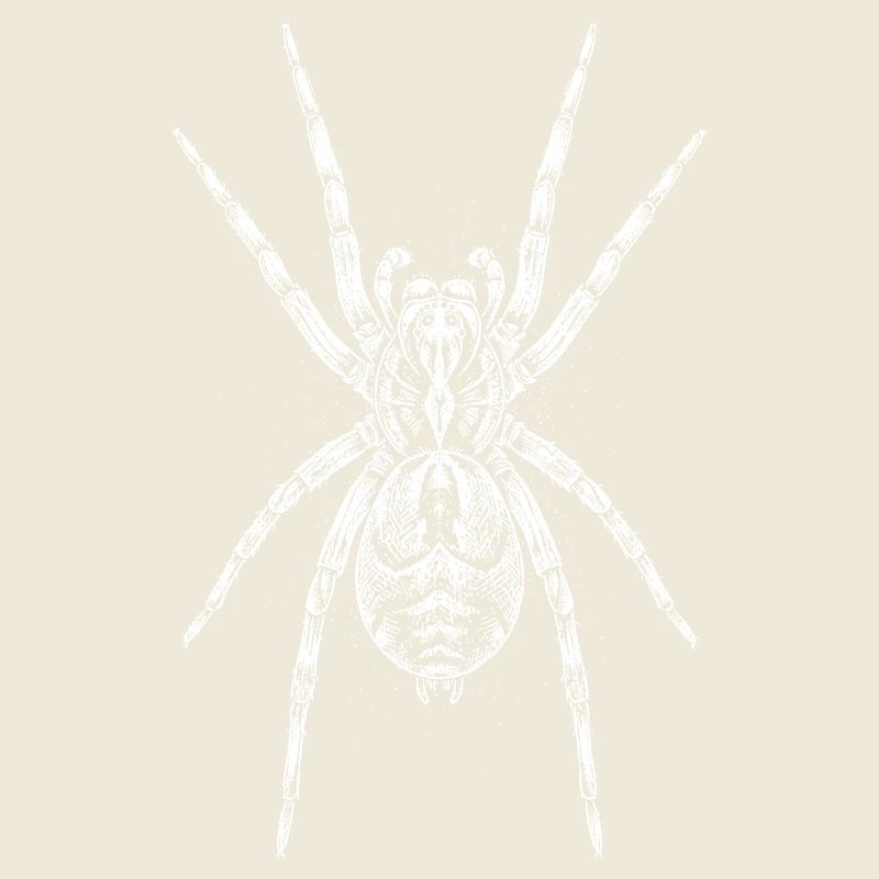 Mandala de l’Araignée de Minuit