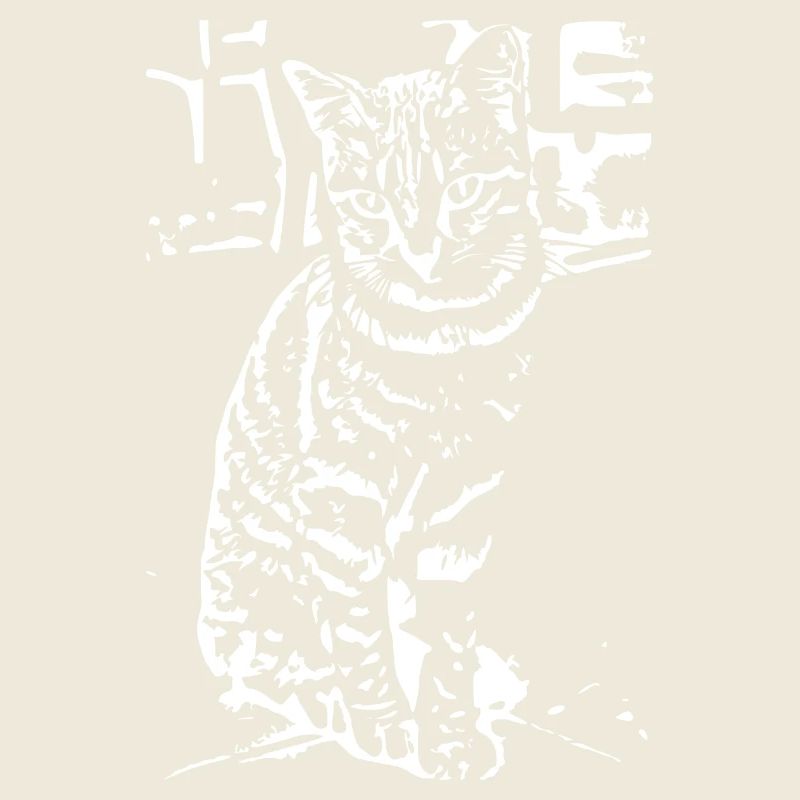 Chat Blanc Blanc Chats Chaton Mignon Cadeau