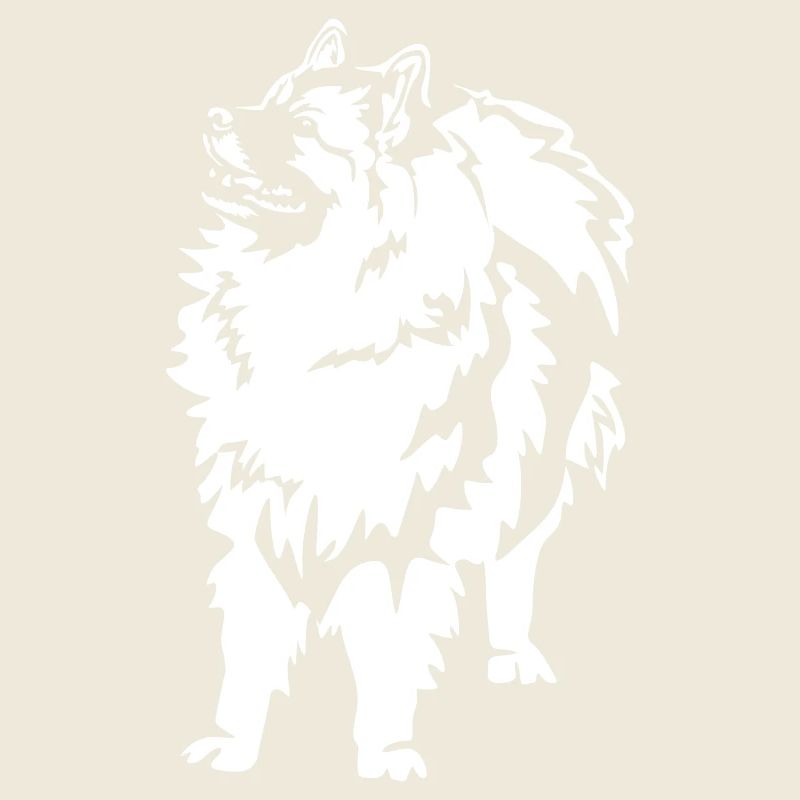 Wolfsspitz "Black Edition"