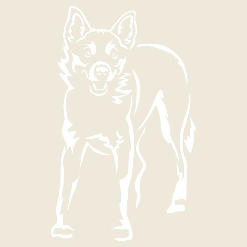 Lundehund norvégien « Black Edition »