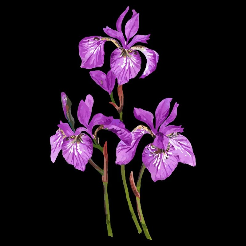 Fleur