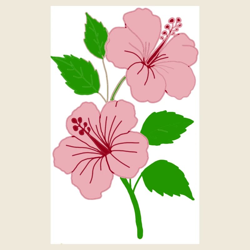 Hibiscus