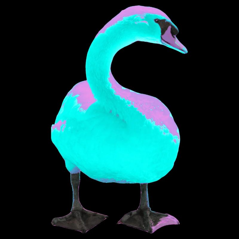 Swan