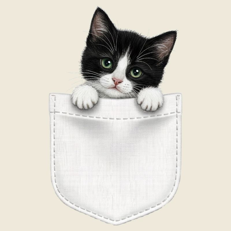Cat Pocket peeks cute cat in the pocket