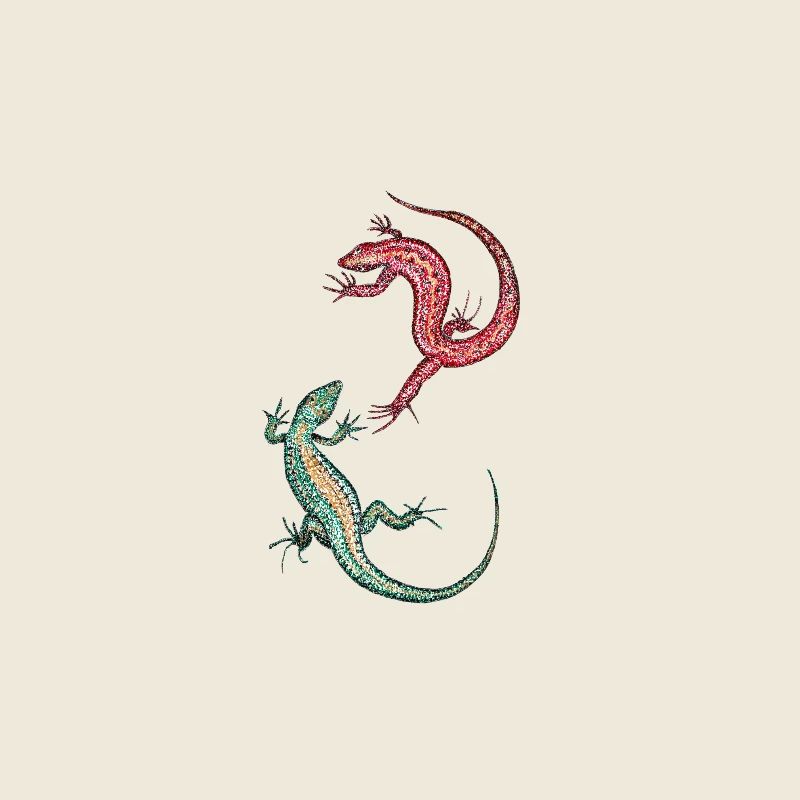 Eidechsen - Geckos