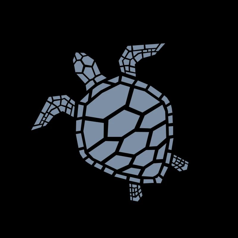 sea turtle