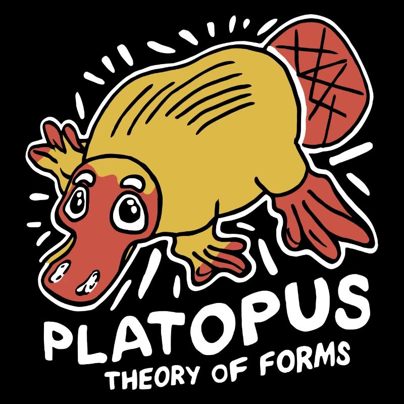 Theory of Forms - Platopus Design
