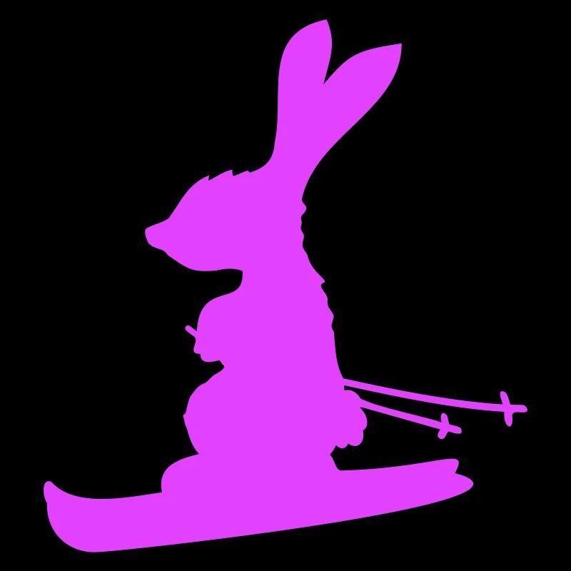 Rabbit Ski Bunny Skiing Winter Skiing Snow