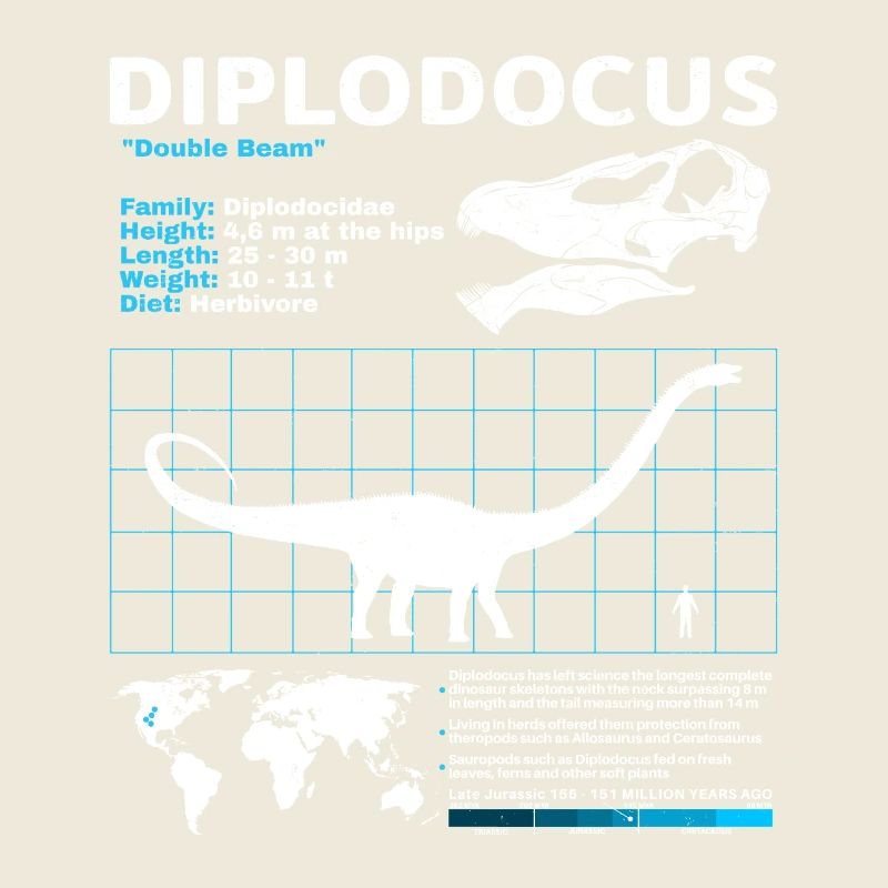 Diplodocus Datenblatt