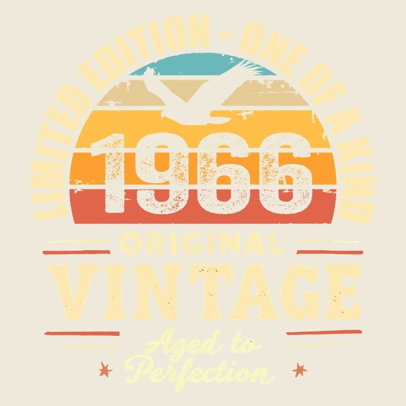 1966 Birthday Gift Vintage 1966 Retro 1966