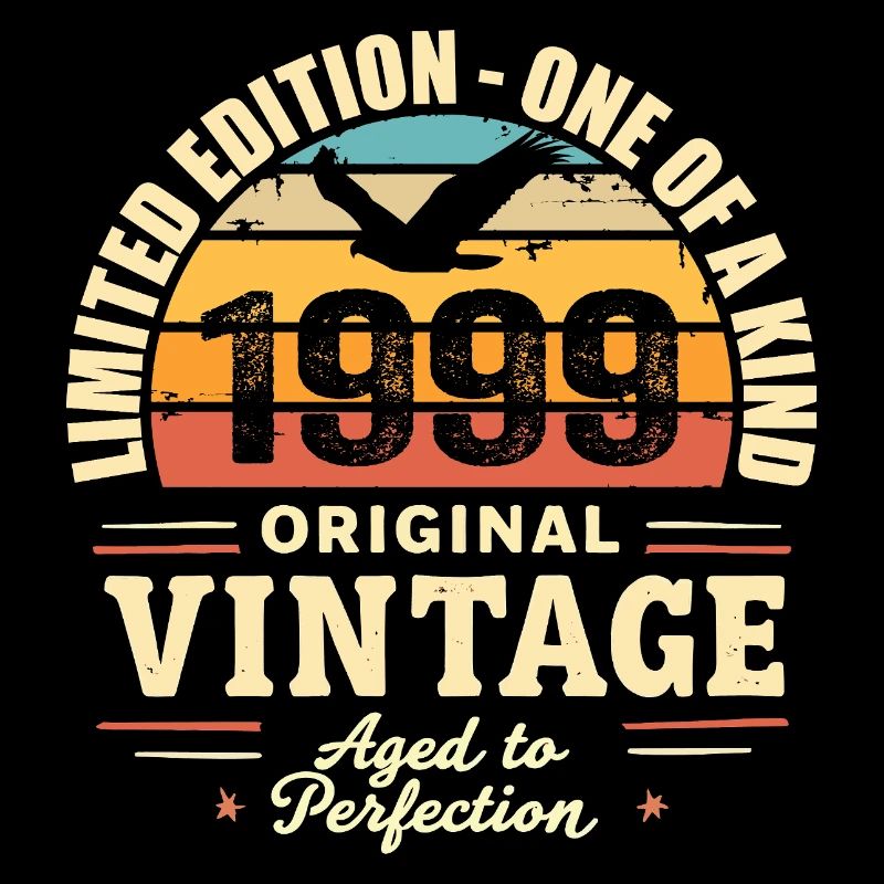 Birthday Gift 1999 Vintage 1999 Retro 1999