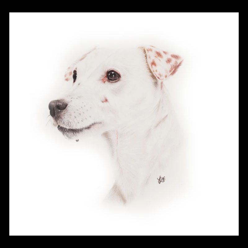 Jack Russell, Trillerpfeife