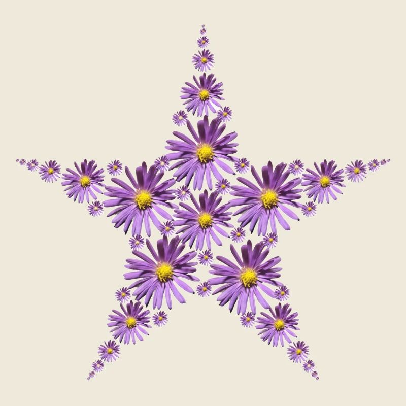 Étoile de fleurs d’aster pourpre
