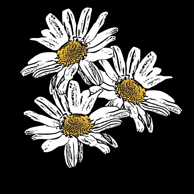 Fleur Fleur Blanche Fleurs Blanches Fleurs Blanches